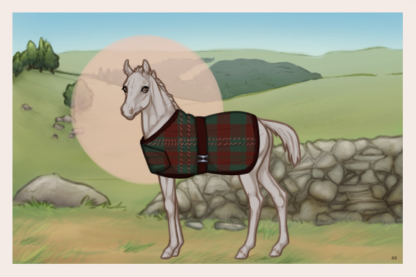 Tartan blanket