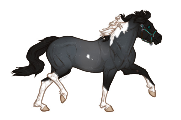 Ferox Welsh Pony #BL009