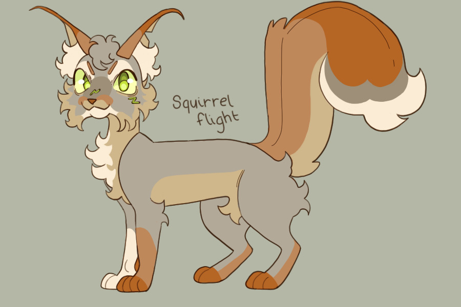 ★ squirrelflight design!