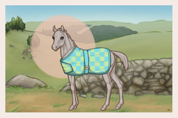 Blanket foal
