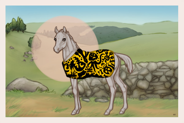 Blanket Foal c: