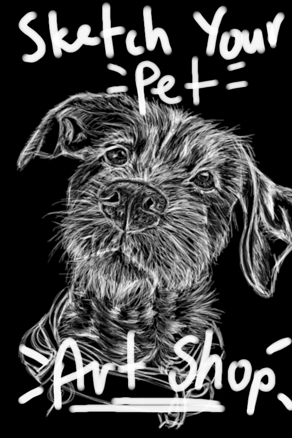 Sketch Your Pet || Art Shop!! || closed! ~ tokens, c$