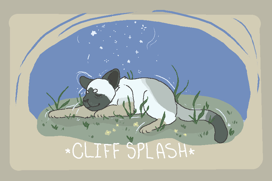 cliffsplash