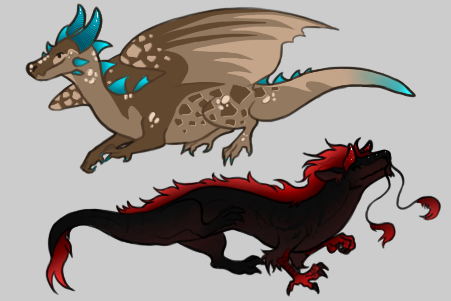A Couple Dragons