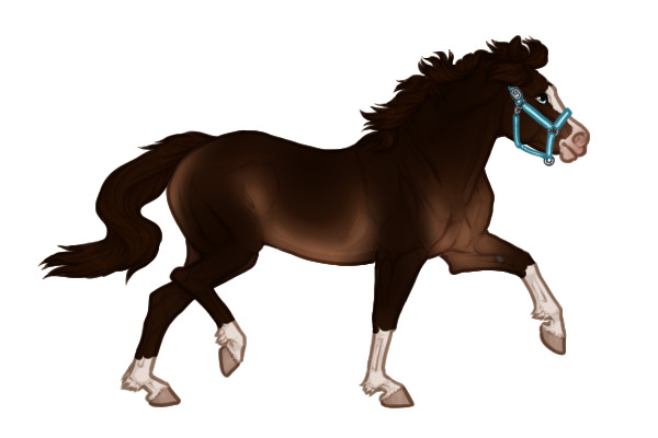 Ferox Welsh Pony #BL028
