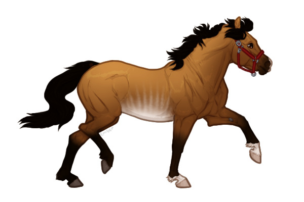 Ferox Welsh Pony #BL034