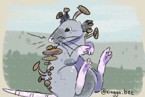 Mushroom Rat