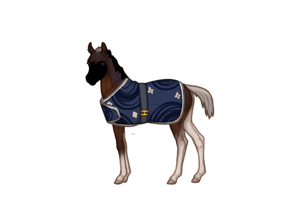 Ferox Welsh Pony #BL021 - Foal Ref