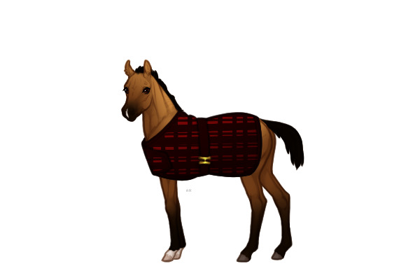 Ferox Welsh Pony #BL034 - Foal Ref