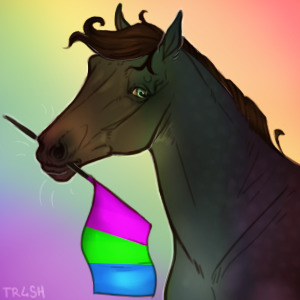 Polysexual Pony