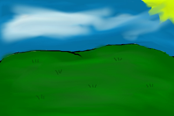 a field