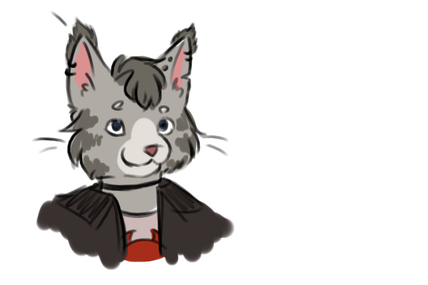 Sawyer