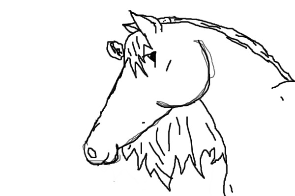 Random Horse :P