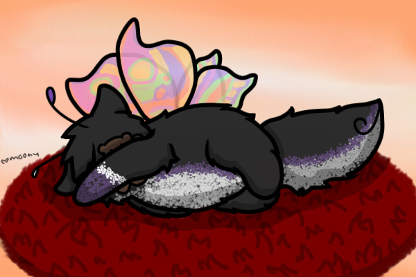 butterfly cat