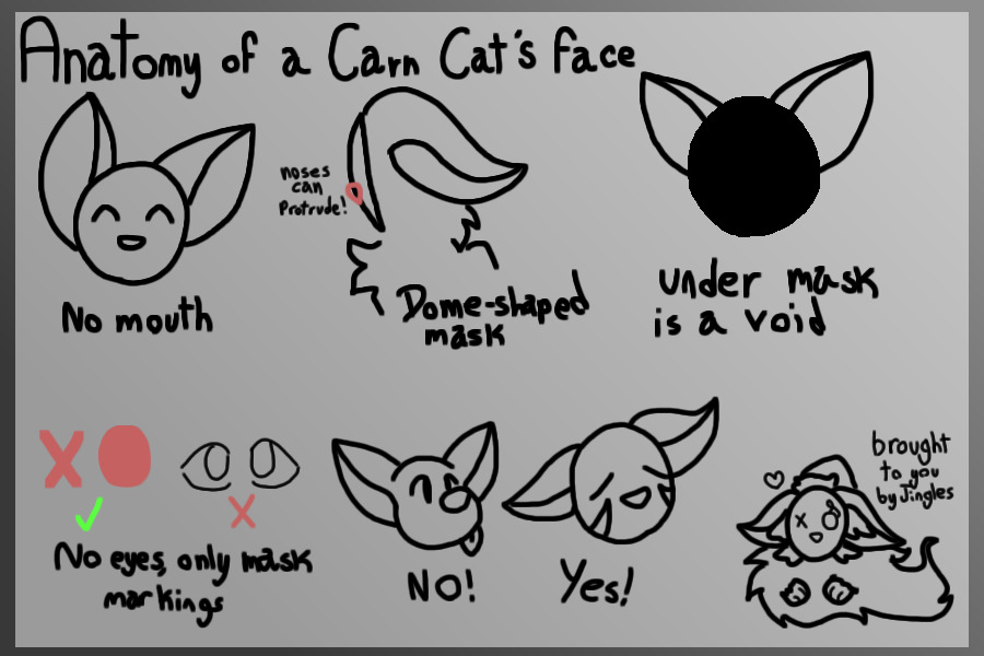 guide to carn cat face anatomy