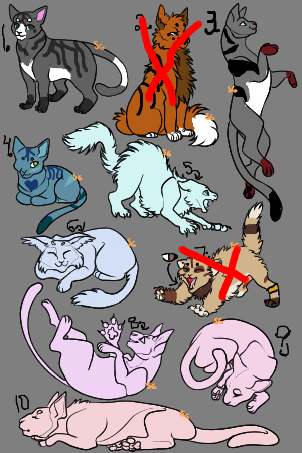 feline adopts (8/10 left)