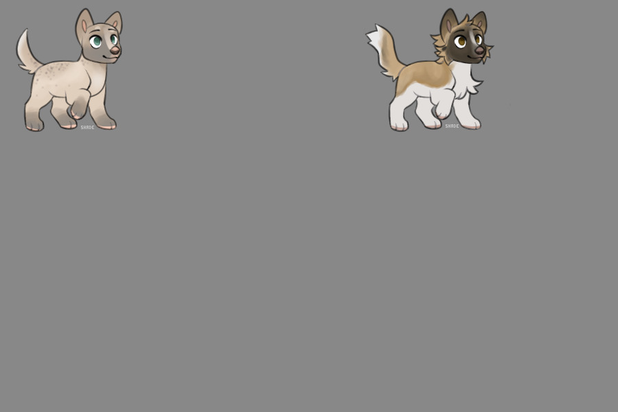 ref for BlueEyedKite