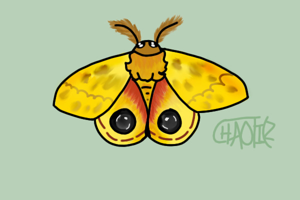 IO Moth <333
