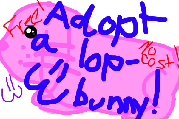 ADOPT A FREE LOP-BUNNY!