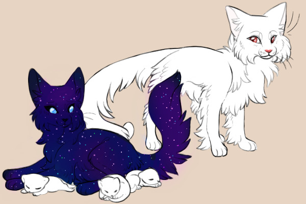Free Space cat breed