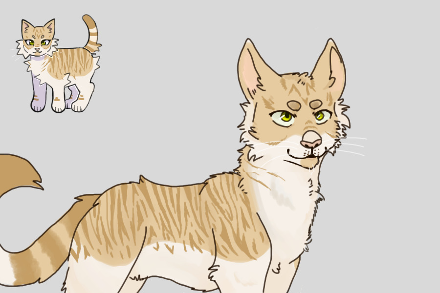 ref for woo