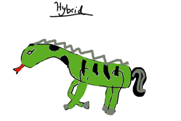 snorse-horse+snake!!