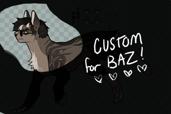 custom for baz!!