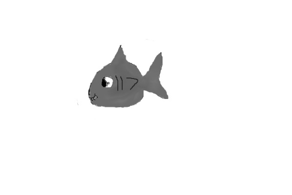 adopt a shark