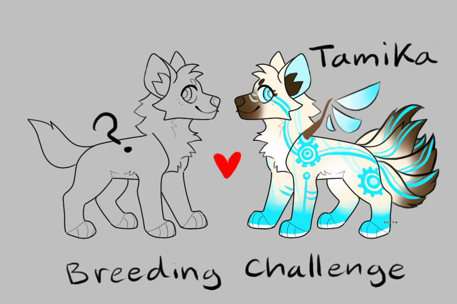 Breeding Challenge, Tamika <3