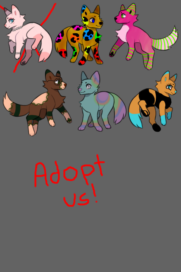 Pup adopts! (Lowered price)