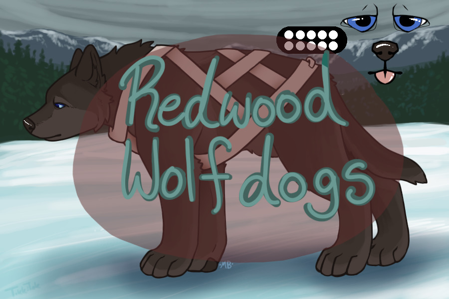 Redwood Wolfdogs - lookout for V2