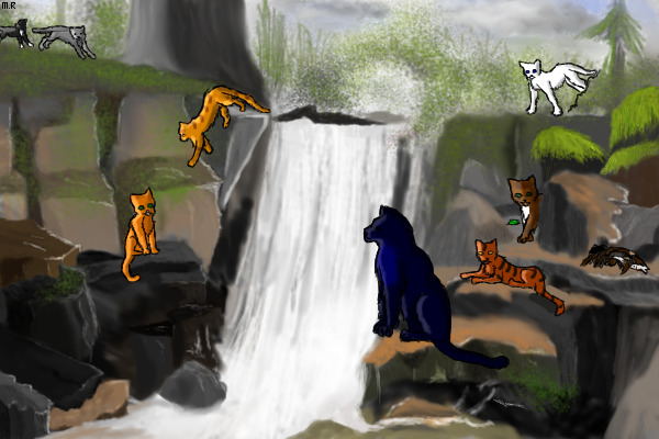 Thunderclan (in waterfall teritory?)