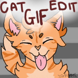 Cat GIF maker edit
