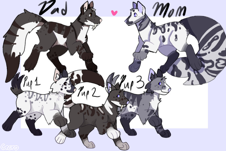 Puppy Litter adopts