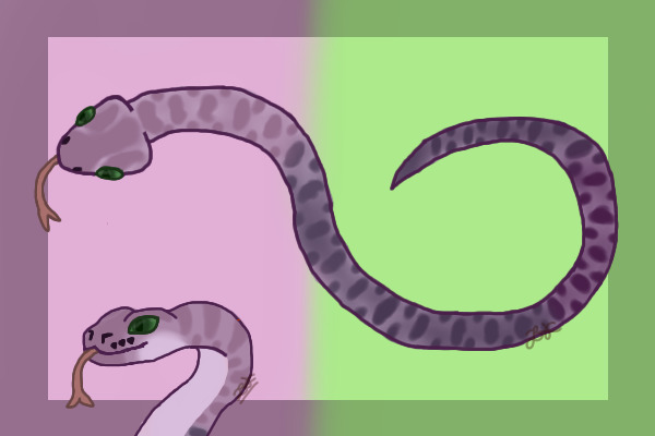 A sneck for Scrap