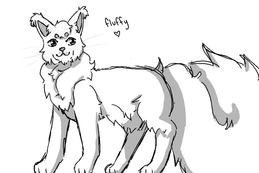 Lil meow meow