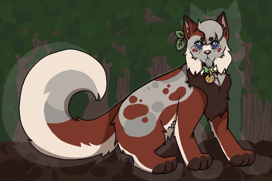 ✧ spottedstone ✧