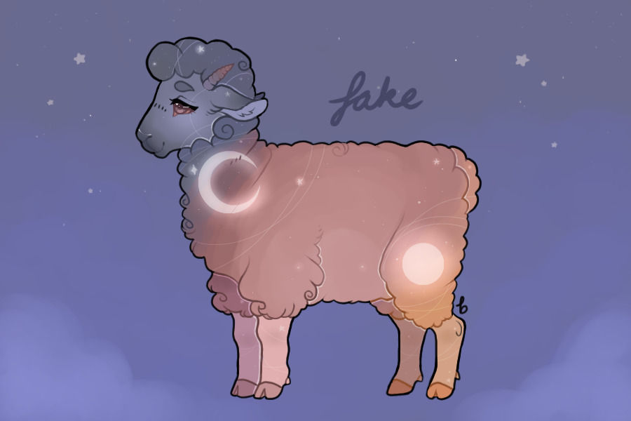 Sheep Entry #4