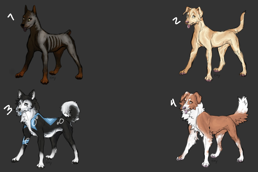 canine adopts [closed]