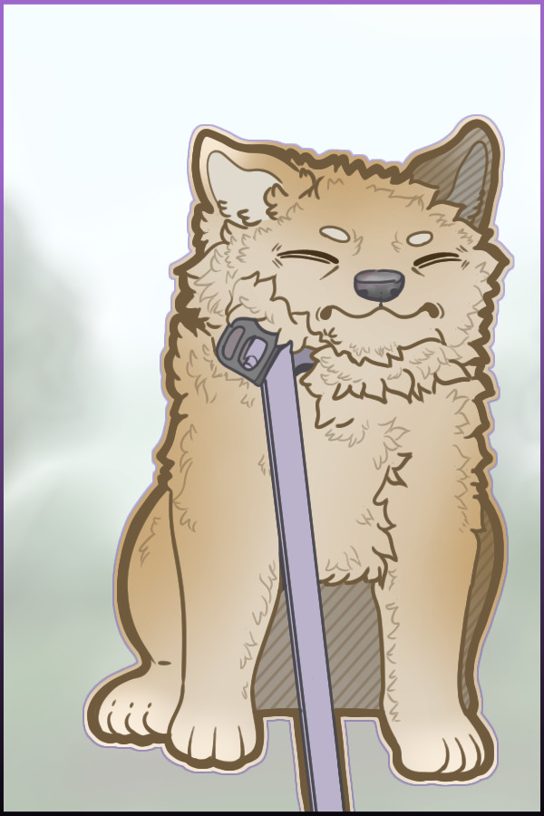 Shiba says not today