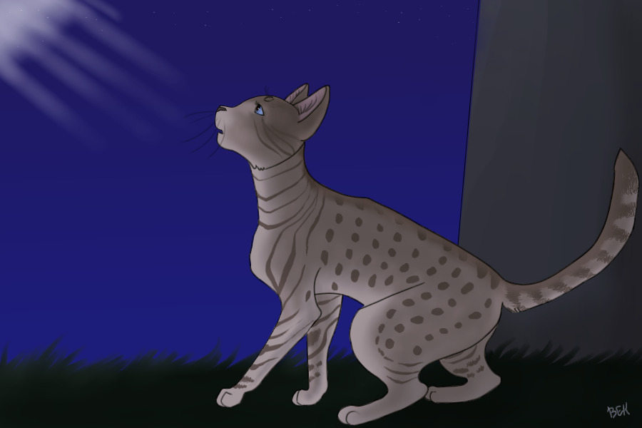 visions from StarClan for Heatherstar
