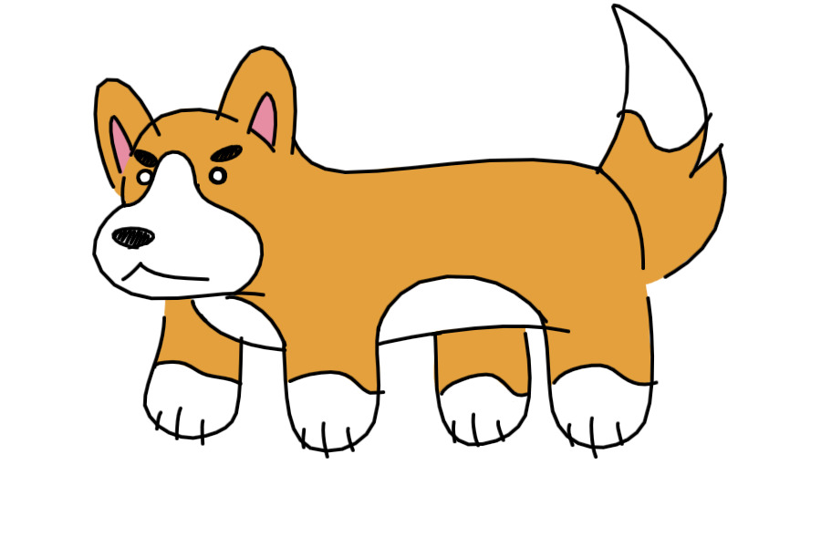 another corgi