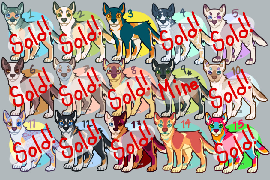 Canine Adopts - All Sold!