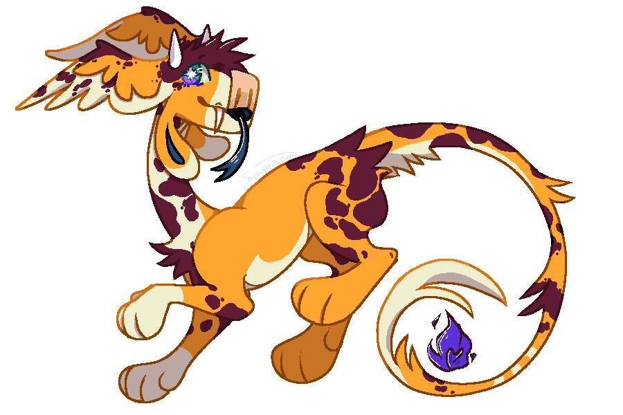gecko for lemon coyote