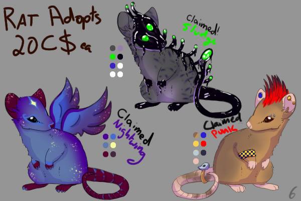 Rat Adopts: All Claimed