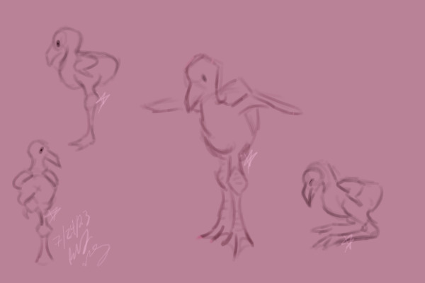 "Have you ever looked at a baby flamingo?"