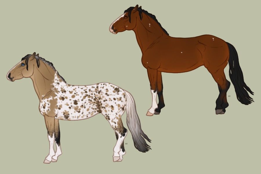 Horse Adopts