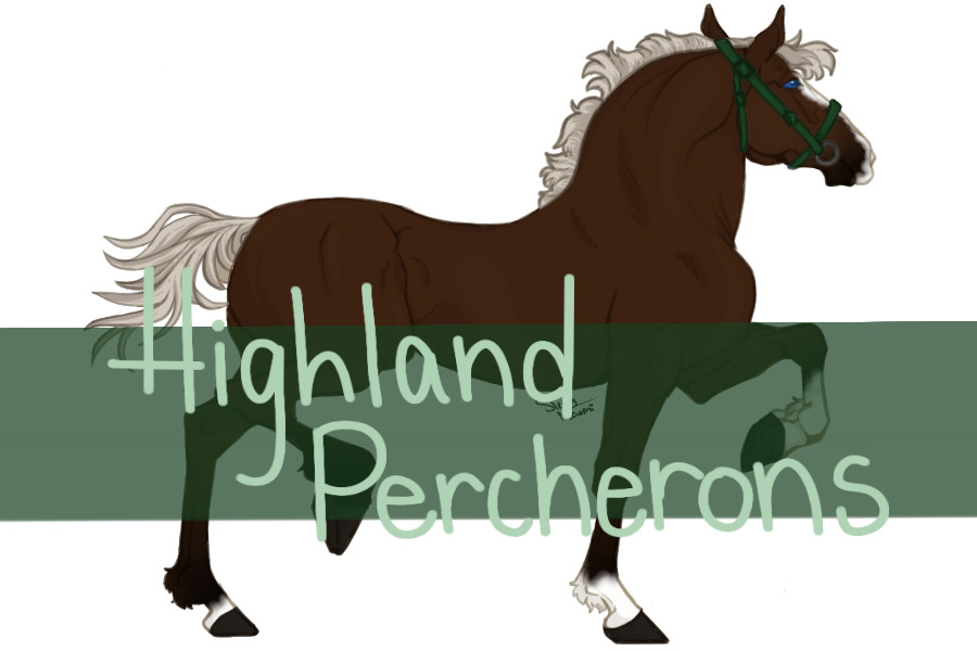 Highland Percherons || Marking OPEN