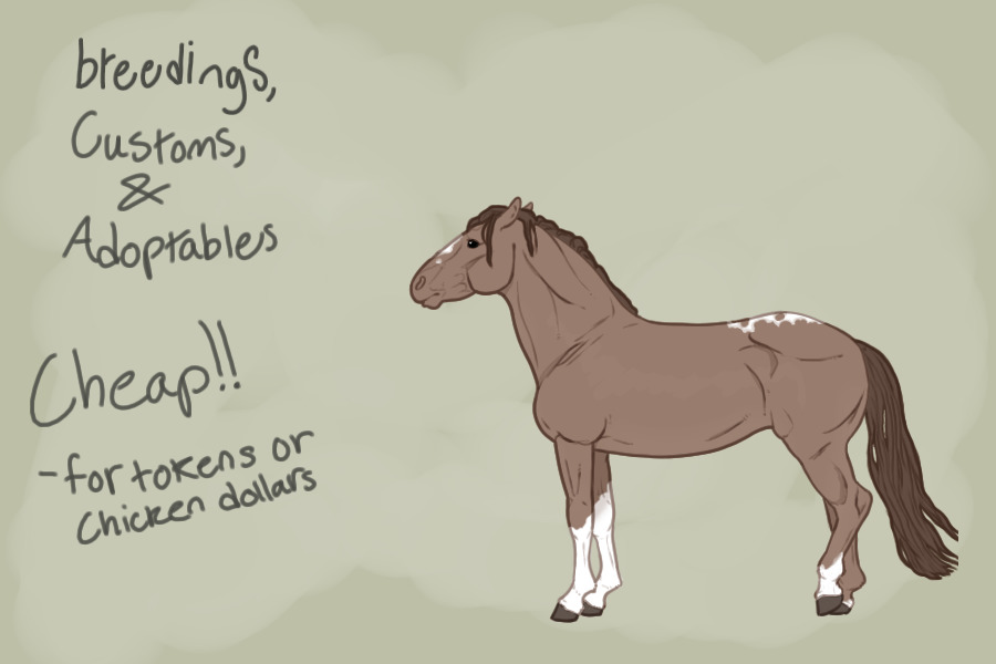 cheap equine customs, breedings, and adopts for c$ or tokens