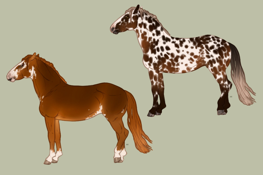 ponies
